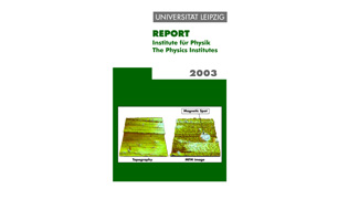 Cover des Forschungsberichts der Physik-Institute 2003