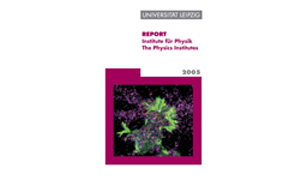 Cover des Forschungsberichts der Physik-Institute 2005