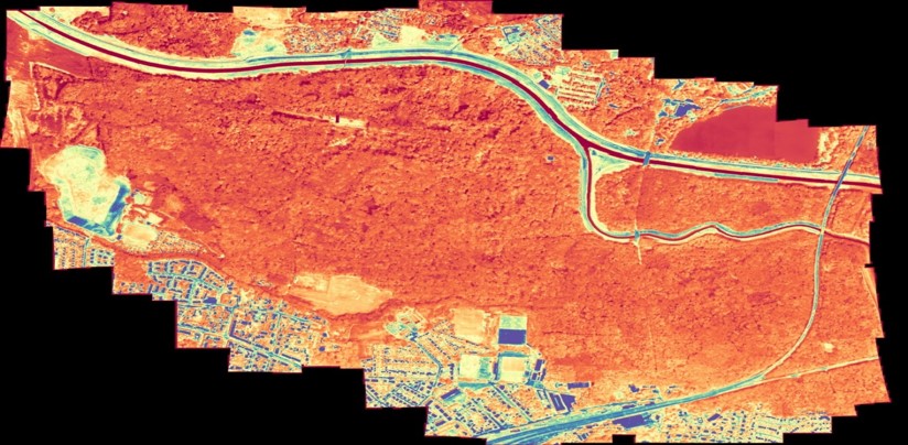 zur Vergrößerungsansicht des Bildes: Luftbild des Leipziger Auwaldes. Die Farbgebung von Blau zu Rot charakterisiert verschiedene Oberflächentemperaturen; Foto: R. Richter / IDiv