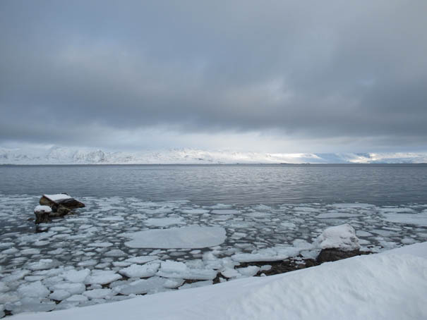 Niedrige flüssigkeitshaltige Wolken sind häufig über dem Kongsfjord in Ny Alesund, Spitzbergen. Foto: Heike Kalesse-Los / Universität Leipzig