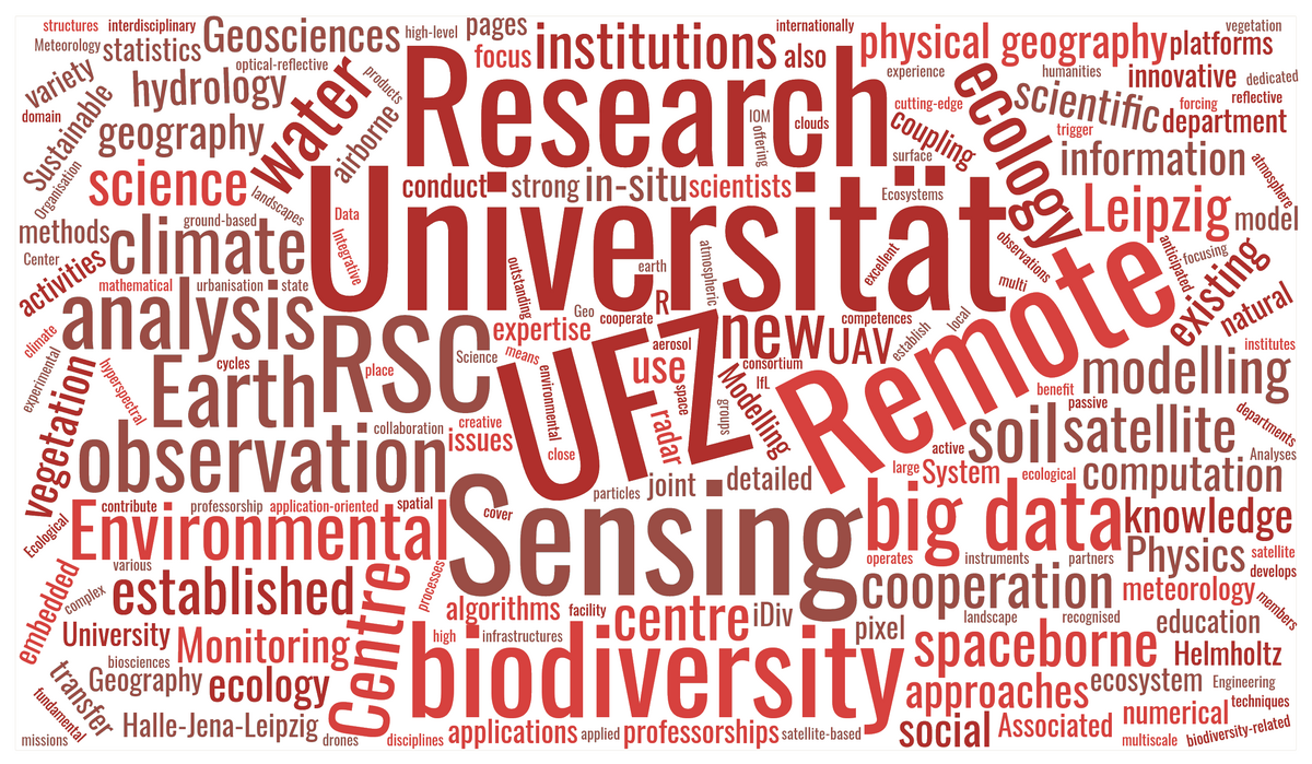 Textwolke zum Zentrum für Fernerkundung in der Erdsystemforschung und dessen Forschung, Grafik: RSC4Earth