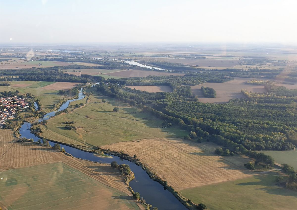 zur Vergrößerungsansicht des Bildes: Blick auf den Mündungsbereich der Saale in die Elbe, Foto: T. Martens