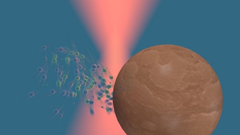 Illustration des Partikels im fokussierten Laserstrahl und der Flüssigkeit