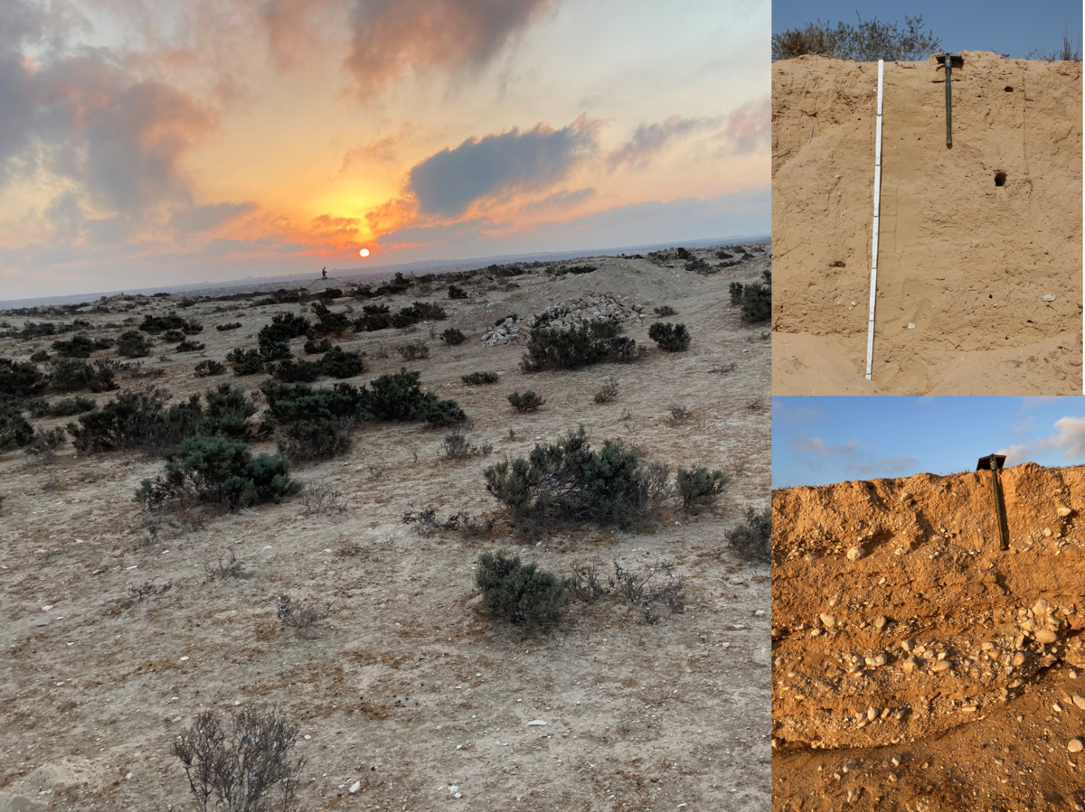 Bilderkollage aus 3 Bildern zeigt die Wüste Negev (Israel) sowie ein fluviales und ein äolisches Sedimentarchiv (Foto: J. Schmidt)