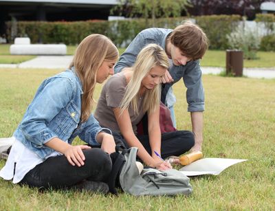 drei Studierende sitzen auf dem Rasen und beraten sich, Foto: Colourbox