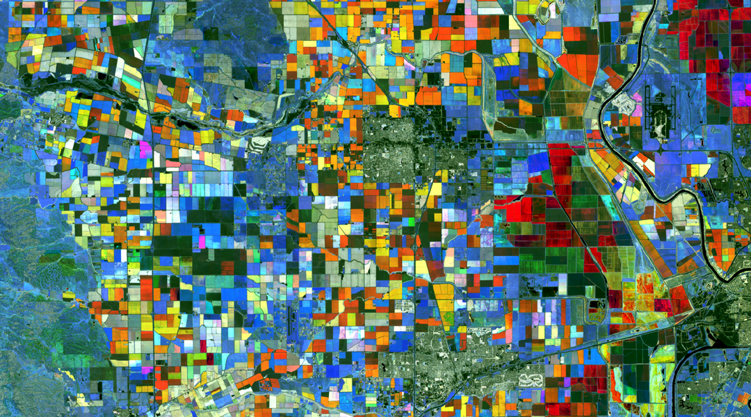 Visualisierte NDVI-Zeitreihe des Landsat-8-Satelliten aus dem Sacramento Valley, Kalifornien. Abbildung erstellt von Hannes Feilhauer auf Basis von USGS-Landsat-8-Daten.