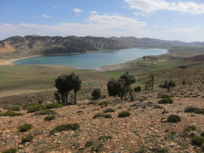 Der Sidi Ali-See im Mittleren Atlas Marokkos liegt auf einer Höhe von 2.080 Metern über dem Meeresspiegel und befindet sich unmittelbar am Nordrand der Sahara.