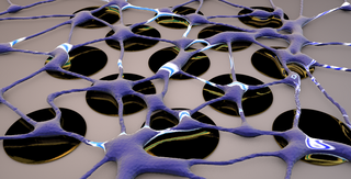Gerendertes Foto einer neuronalen Netzwerks auf einem Mikroelektroden-Array