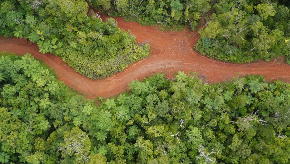 enlarge the image: Fiji Primary Forest, Drohnenluftbild: Teja Kattenborn